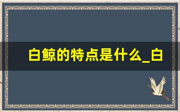 白鲸的特点是什么_白鲸的皮肤是光滑的吗