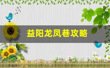 益阳龙凤巷攻略