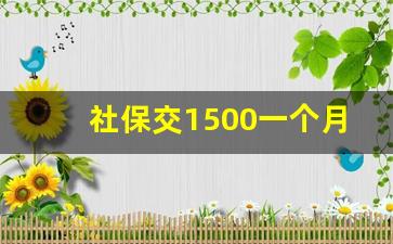 社保交1500一个月高吗_女性最晚交社保的年龄