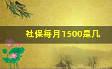 社保每月1500是几档_1400的社保属于哪一档