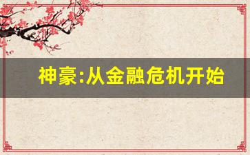 神豪:从金融危机开始_一夜暴富:金融大鳄最新章节