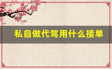 私自做代驾用什么接单_干代驾一晚上能挣多少钱