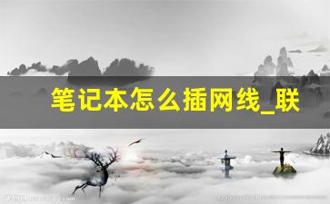 笔记本怎么插网线_联想笔记本原装网线接口