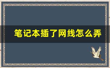 笔记本插了网线怎么弄_新电脑插网线连不上网