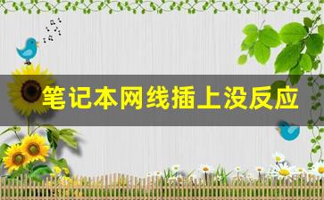 笔记本网线插上没反应_本地连接状态正常但上不了网