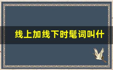 线上加线下时髦词叫什么_服装线上线下一起做的实体店