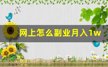 网上怎么副业月入1w_月入1万的冷门兼职