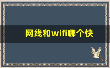 网线和wifi哪个快