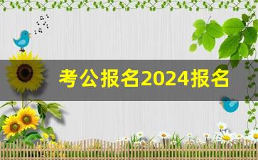 考公报名2024报名时间