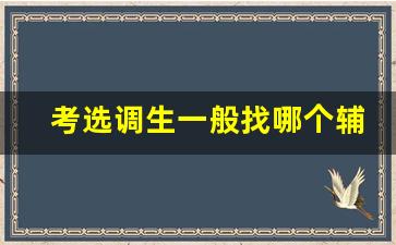 考选调生一般找哪个辅导机构_选调生一次上岸几率多大