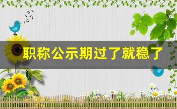 职称公示期过了就稳了吗_已经评上职称可以举报吗