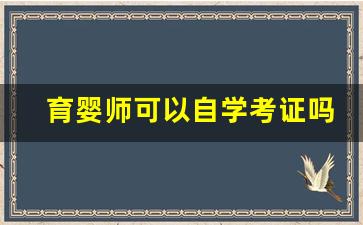 育婴师可以自学考证吗_办育婴师证多少钱啊