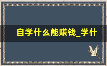 自学什么能赚钱_学什么可以挣钱