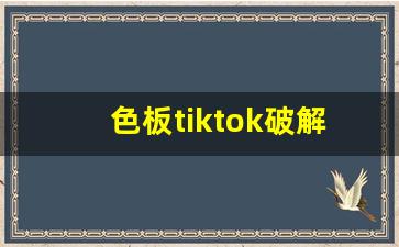 色板tiktok破解_9.1抖音网站