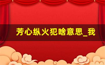 芳心纵火犯啥意思_我是芳心纵火犯是什么意思