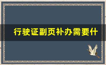 行驶证副页补办需要什么材料_车审过了行驶证没盖章有事吗