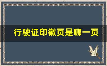 行驶证印徽页是哪一页_复印店能打印行驶证副页章吗