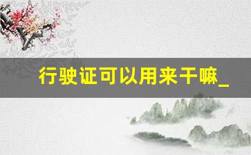 行驶证可以用来干嘛_行驶证丢了有什么影响