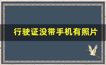 行驶证没带手机有照片怎么办