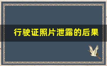 行驶证照片泄露的后果