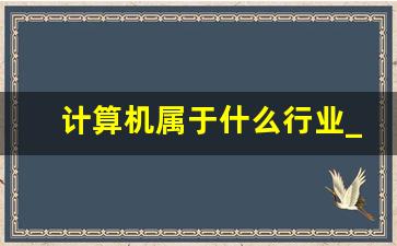 计算机属于什么行业_计算机最好的5个专业