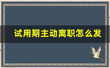 试用期主动离职怎么发工资