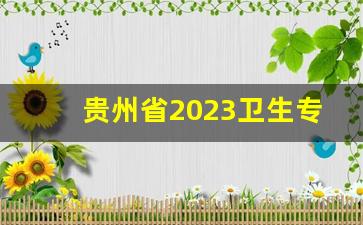 贵州省2023卫生专业技术考试