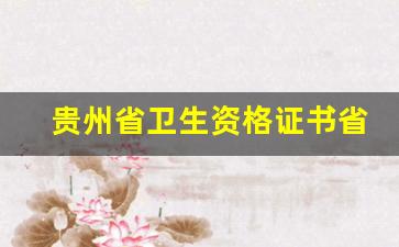 贵州省卫生资格证书省级在哪查询_贵州省省级卫生资格合格打印