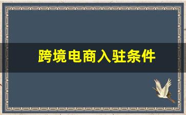 跨境电商入驻条件