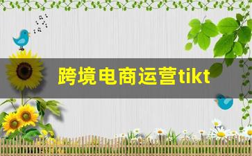 跨境电商运营tiktok_tiktok吧