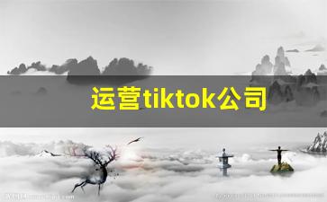 运营tiktok公司