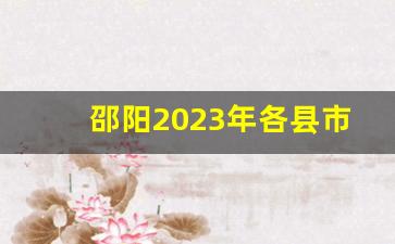 邵阳2023年各县市GDP