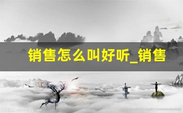 销售怎么叫好听_销售冠军的创意称呼