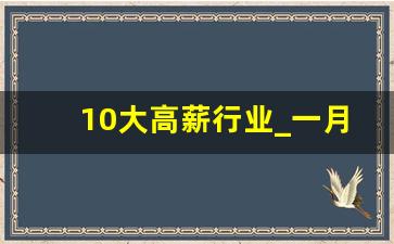 10大高薪行业_一月挣3万到5万的工作