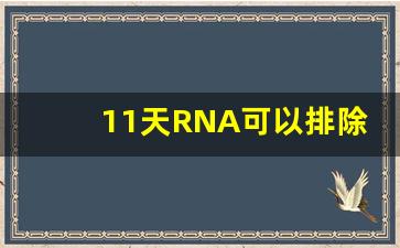 11天RNA可以排除艾滋病吗