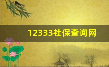 12333社保查询网官网_查看社保缴费记录