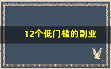 12个低门槛的副业