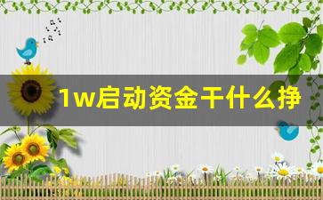 1w启动资金干什么挣钱_月入2万的10个小生意