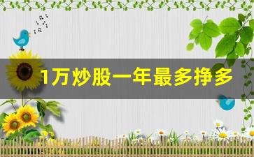 1万炒股一年最多挣多少_买什么股票最安全挣钱