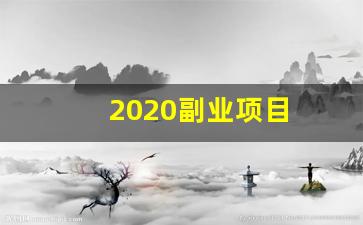 2020副业项目