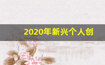 2020年新兴个人创业