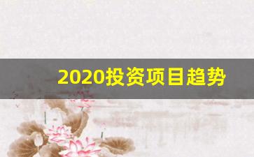 2020投资项目趋势