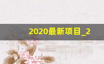 2020最新项目_2020投资项目趋势