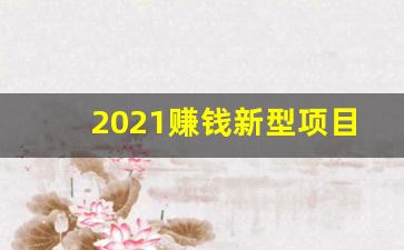 2021赚钱新型项目_2020最新项目