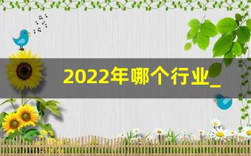 2022年哪个行业_2024年会是经济最难的一年吗