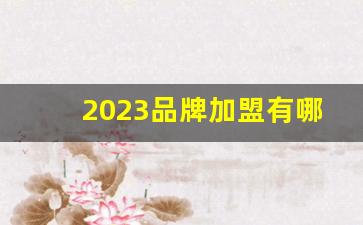 2023品牌加盟有哪些