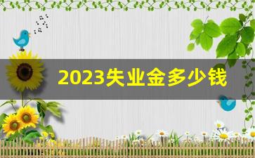 2023失业金多少钱一个月呢_失业补助金标准