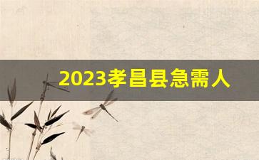 2023孝昌县急需人才成绩公告