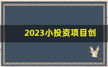 2023小投资项目创业推荐