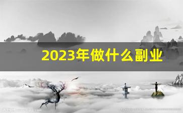 2023年做什么副业_2023年挣钱小项目